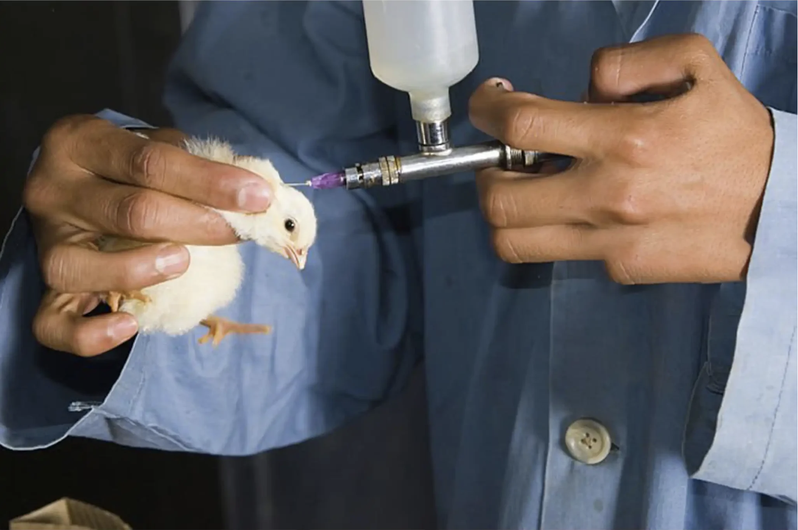 Early Disease Detection